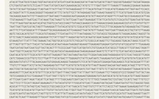 Claude Found Something in DNA. Interesting? Yes. A “New CRISPR”? Not Yet